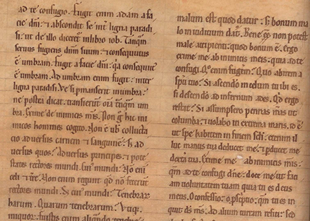 Monasterio de Santa María la Real de las Huelgas (Burgos), Patrimonio Nacional, Ms. 13, f. 113v, detalle.